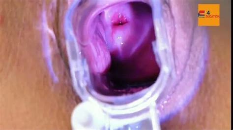 Female Anatomy Vaginal Test EXAM Vagina And Vulva Examination Nudity Sexually And Explicit