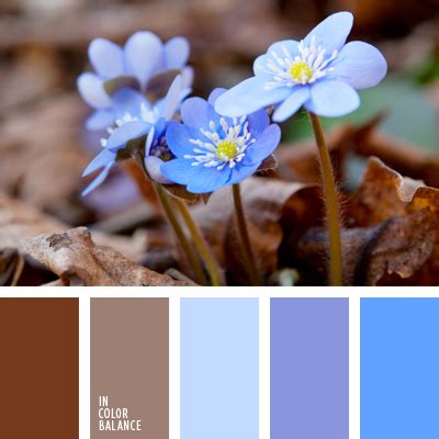 цвета анемона | IN COLOR BALANCE