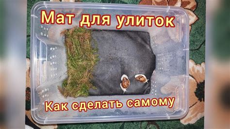 Маты для улиток. Зачем они нужны, как сшить мат самому. Где можно ...