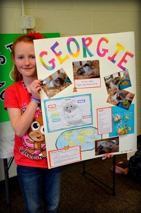 pet poster project  headleys house  dog project ideas pet