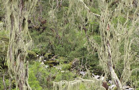 Уганда — подробная информация о стране