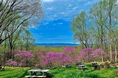 19 Best Wineries In Northern Virginia Virginia Vacation Guide