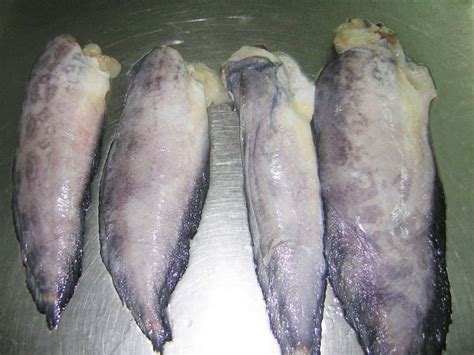 frozen  fishchina xy seafood price supplier food