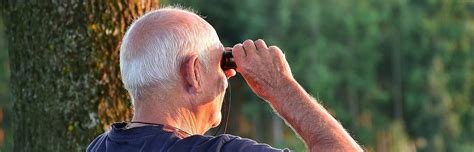 social security cost  living adjustment cola