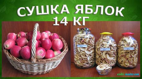 Как высушить яблоки в сушилке для фруктов? Нарезка и очистка 14 кг ...