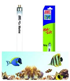 Juwel 54W 1047mm Marine High Lite - Redwood Aquatics Aquarium & Water ...