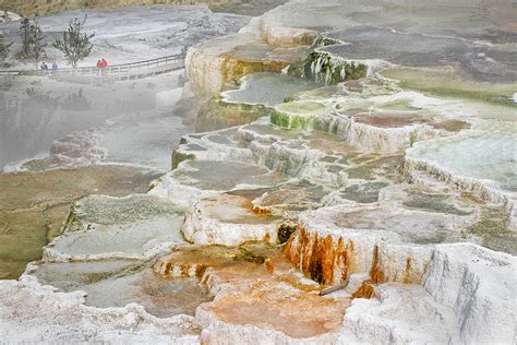 Yellowstone revisited, Mammoth Hot Springs, Wyoming.