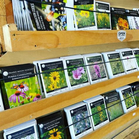 Prairie Moon Nursery Native Plant Seed Packs Vinland Valley Nursery