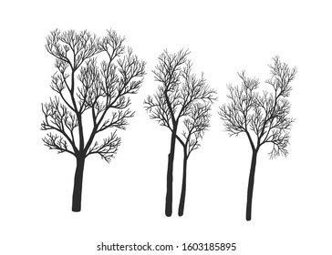 Naked Trees Silhouettes Set Hand Drawn Stock Vector Royalty Free Shutterstock
