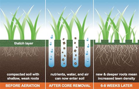 aerators   lawn eagle rentals