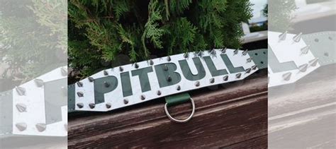 Ошейник для питбуля купить в Краснодаре | Животные и зоотовары | Авито