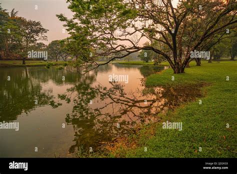 La Vista Del Giardino Del Lago Taiping O Del Tasik Taiping Taman