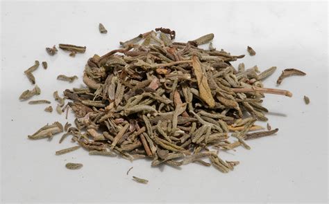 File:Spice thyme.jpg - Wikimedia Commons