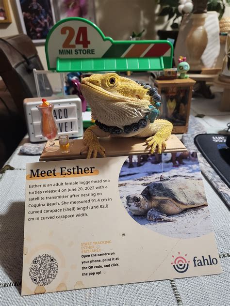 Our tech team explains how Ups tracking english status codes work 1