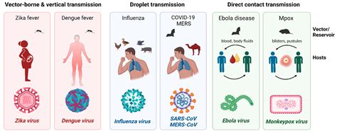 Microorganisms Free Full Text Emerging Infectious Diseases Are
