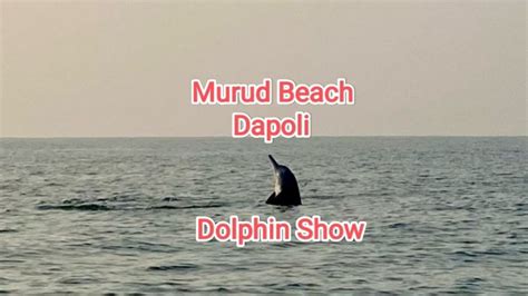 Dolphin Show At Murud Beach Dapoli Murudbeach Boat Ride Sea Konkan