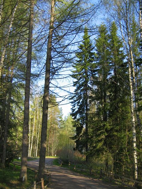 Курорт 'Марциальные воды'