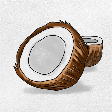 How To Draw A Coconut Easy Drawing Art