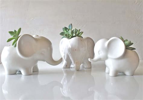24 Best Animal Themed Home Decor Ideas For An Adorable Space In 2021