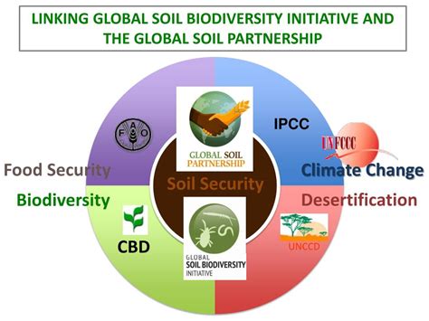 PPT - SOIL BIODIVERSITY PROVIDES ECOSYSTEM SERVICES PowerPoint ...