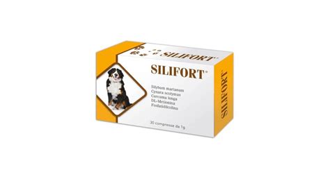 SILIFORT 30 CPR 1 G
