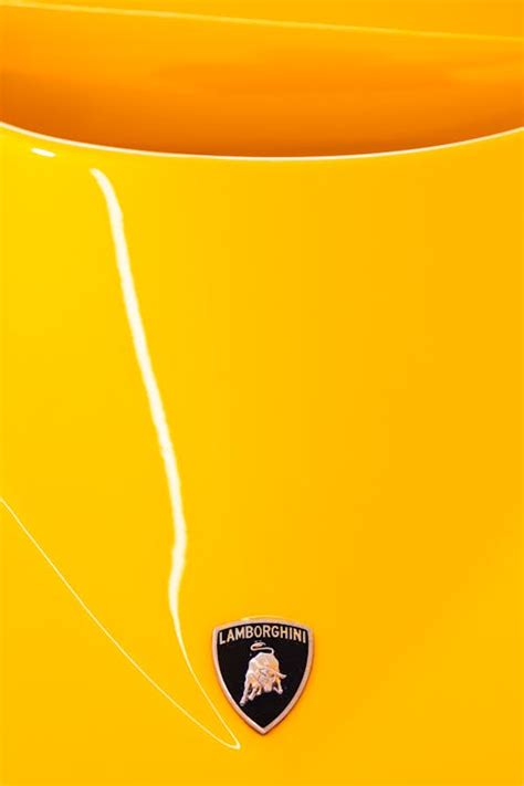 Close Up Of Yellow Lamborghini Hood Emblem · Free Stock Photo