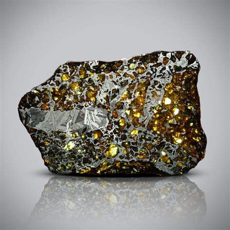 Meteorite Slice For Sale Seymchan Pallasite 389 Grams Fossil Realm