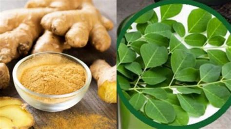 Ginger And Moringa The Miraculous Combination That Fights Many Diseases