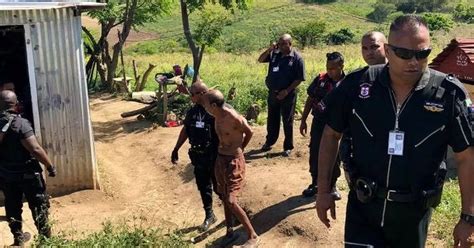 Woman Caught Neighbour Having Sex With Her Cat After Hearing Pet Screaming Mirror Online