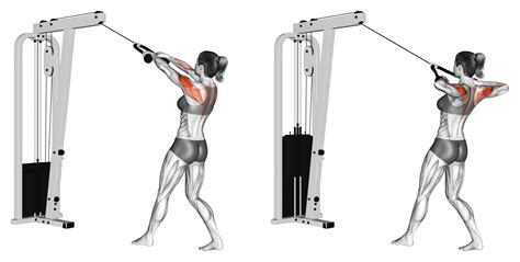 Cable Rear Delt Row Benefits Muscles Worked And More Inspire Us