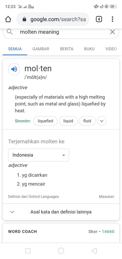 melted  molten pt deutsche freunde indonesia