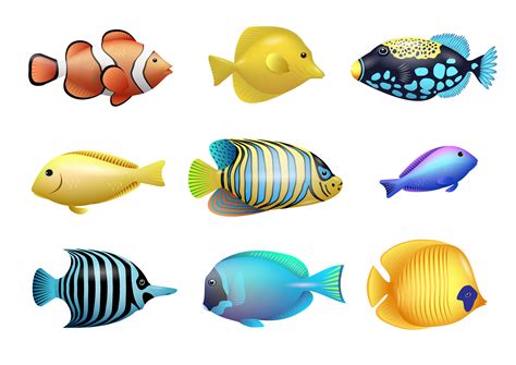Printable Colorful Fish Clipart