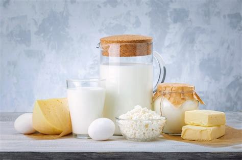 Productos Lácteos Leche Requesón Huevos Crema Agria Y Mantequilla