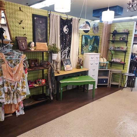 Alley Kat's Curiosity... - Alley Kat's Curiosity Shoppe