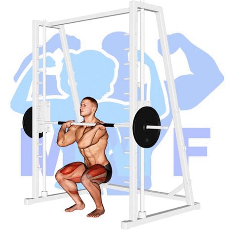 Front Squat Smith Machine