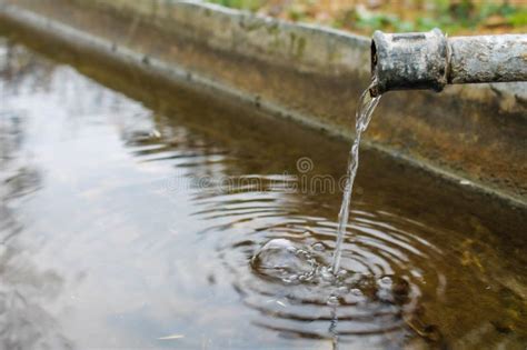 Water Running From A Fountain Stock Photo Image Of Purple Design