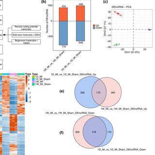 Genome Wide Profiling Of MI Associated LncRNAs A Illustration Of The