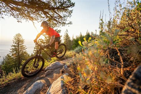 Haro Bikes – bikes.com.au