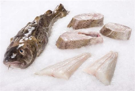 Wild Cod Fillet - Buy Fresh Fish | Citarella