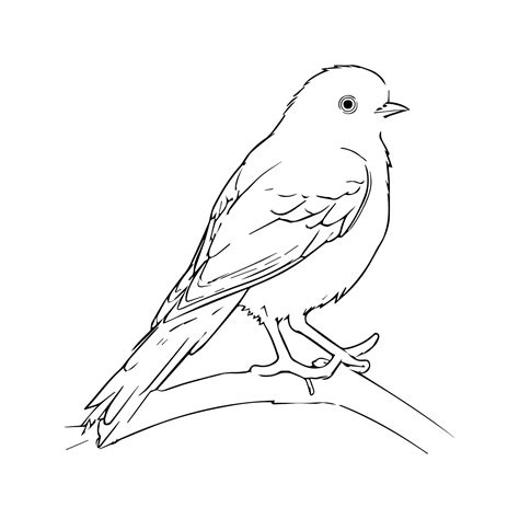 Premium Vector | This is a clean eyecatchy professional design suitable