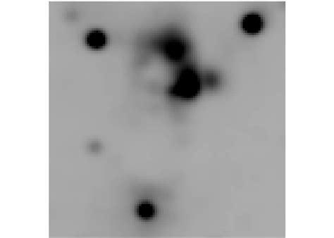 58 × 58 images at 9.7, 12.5 and 18.7 µm of W 75N centered around W75 ...