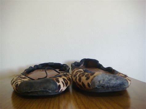 Sapatilha Onca Stiletto Porn Pictures Xxx Photos Sex Images Pictoa