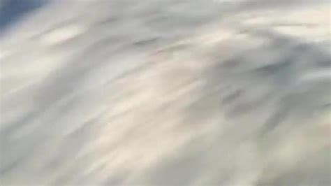 Skirt Sharking And Lurking The Hot Girl Behind The Tree Tnaflix