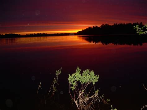 Graham Lake Ellsworth Maine Vehicles Island Mosquitoes Me