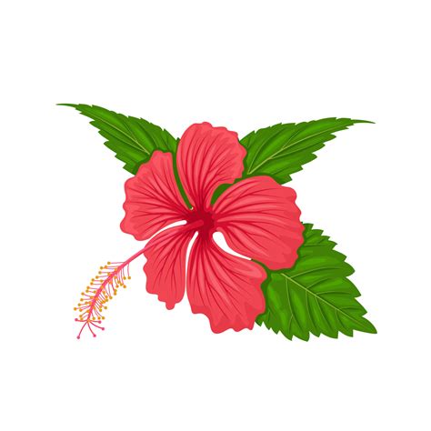 Hibiscus Leaves Silhouette Vector, Clipart Images, Pictures, 47% OFF