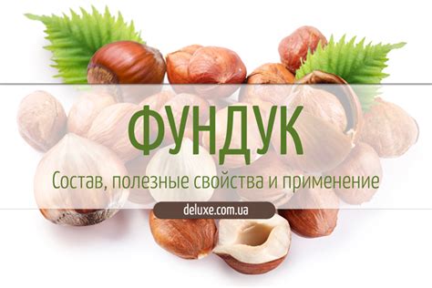 Фундук – состав, полезные свойства и применение