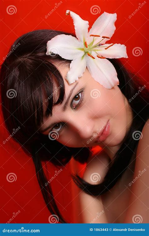 Brunette Con Las Flores Del Lirio Blanco Imagen De Archivo Imagen De Morena Puro