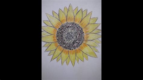 Poze Cu Soare Desenat