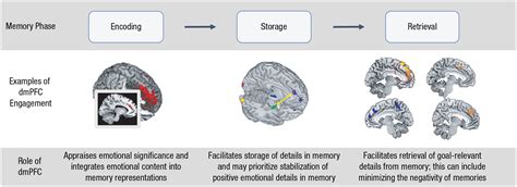 Memory Encoding Storage Retrieval