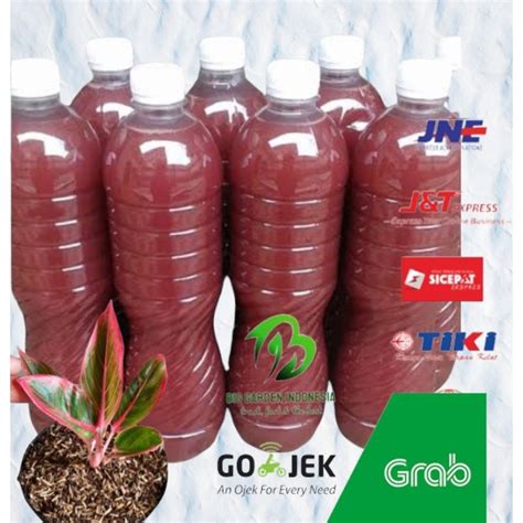 Jual Pupuk Organik POC PSB Fotosintesis Bacteria 600 Ml Shopee Indonesia